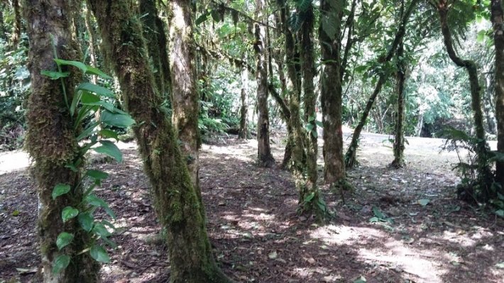 Lote en Altos del Maria