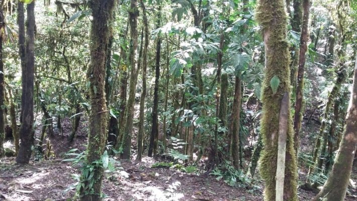 Lote en Altos del Maria