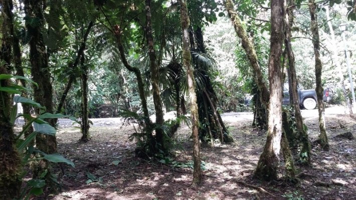 Lote en Altos del Maria