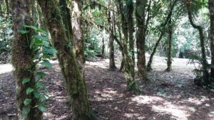 Lote en Altos del Maria
