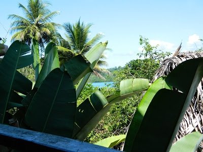 Beverly's Hill Guest House on Main Street Bastimento, Bocas del Toro.