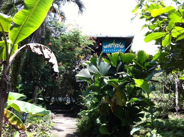 Beverly's Hill Guest House on Main Street Bastimento, Bocas del Toro.