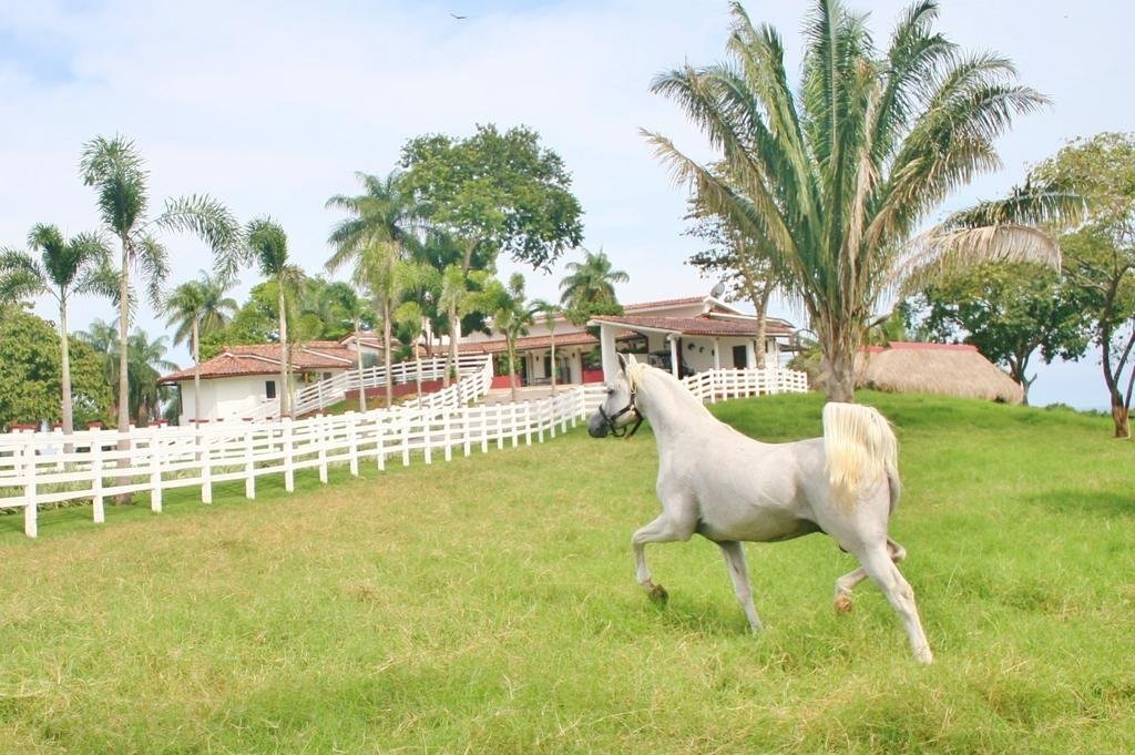 The ultimate luxury home on Boca Brava Island overlooking ocean with islands