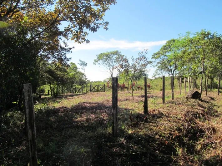 Lote con un arroyo en Potrerillos Arriba