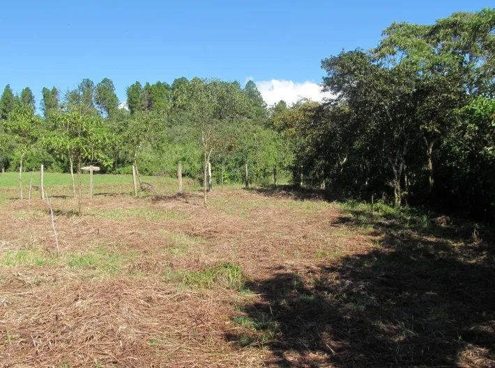 Lote con un arroyo en Potrerillos Arriba