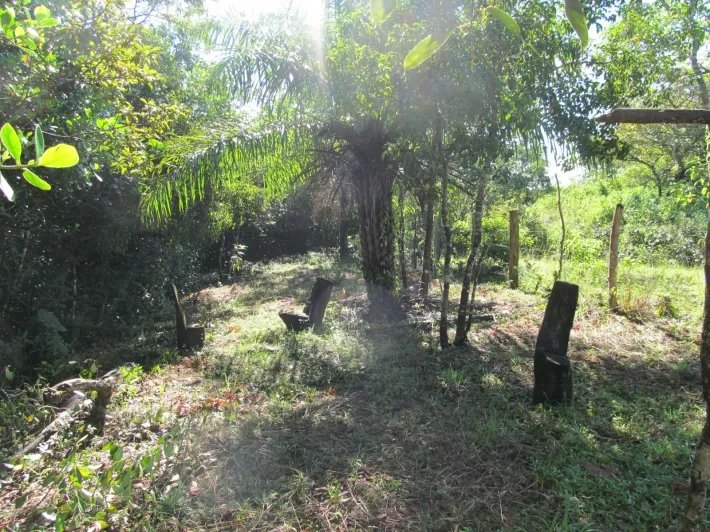 Lote con un arroyo en Potrerillos Arriba