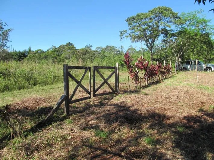Building lot with a creek in Potrerillos Arriba