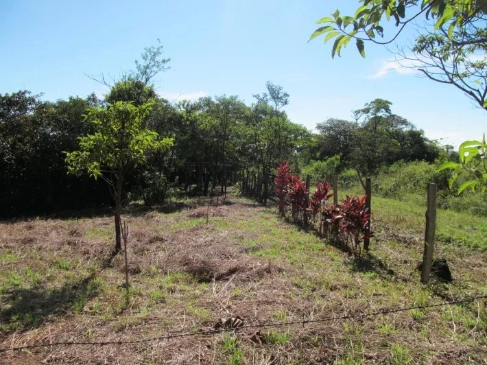 Building lot with a creek in Potrerillos Arriba
