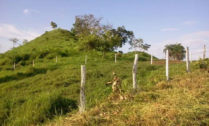 Venta de fuego: 2 hectáreas en una colina con vistas al océano por enc...