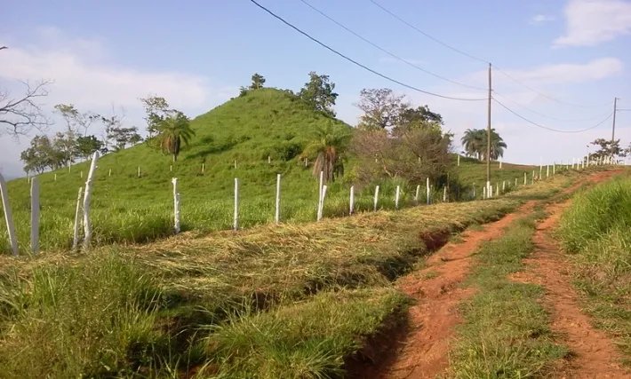 Fire sale: 2 hectares on a hill with ocean views above Boca Chicaa