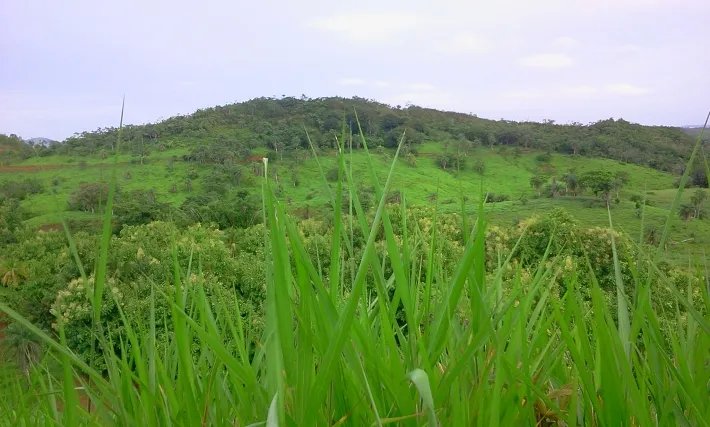 Fire sale: 2 hectares on a hill with ocean views above Boca Chicaa