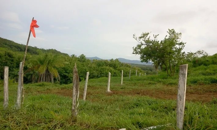 Fire sale: 2 hectares on a hill with ocean views above Boca Chicaa