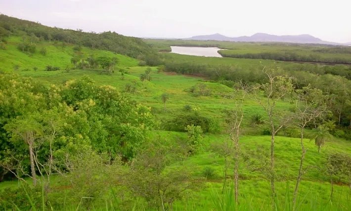 Fire sale: 2 hectares on a hill with ocean views above Boca Chicaa