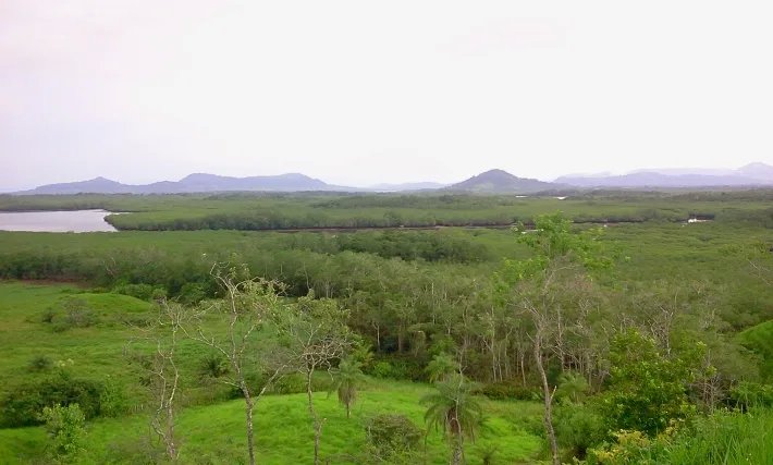 Fire sale: 2 hectares on a hill with ocean views above Boca Chicaa