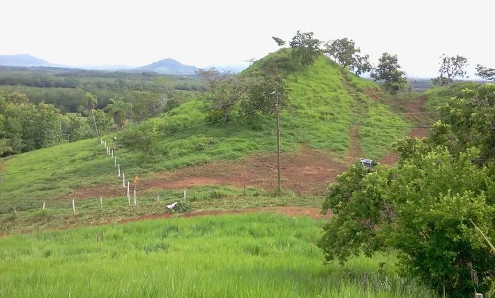 Fire sale: 2 hectares on a hill with ocean views above Boca Chicaa