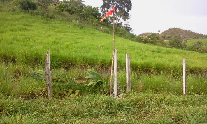 Fire sale: 2 hectares on a hill with ocean views above Boca Chicaa