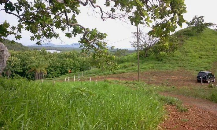 Fire sale: 2 hectares on a hill with ocean views above Boca Chicaa