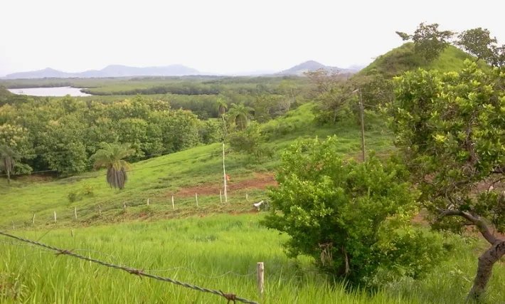 Fire sale: 2 hectares on a hill with ocean views above Boca Chicaa