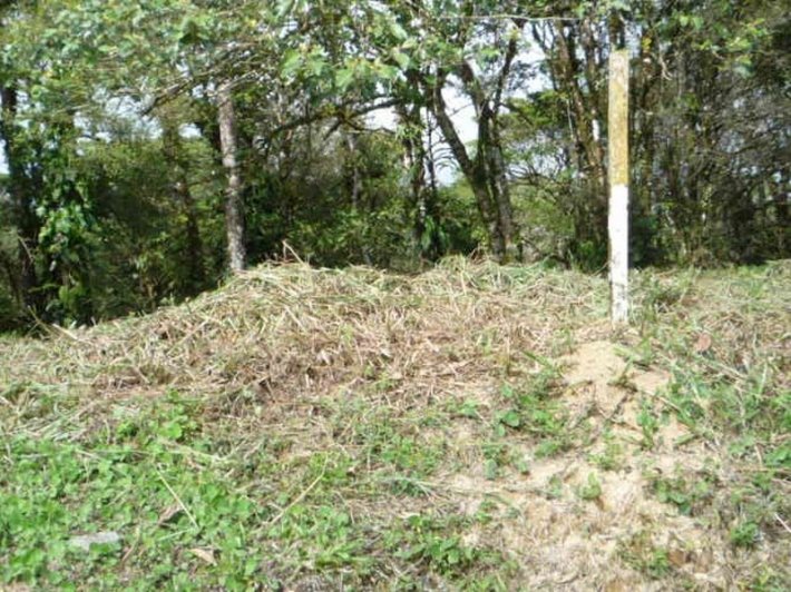 Lote en las monta