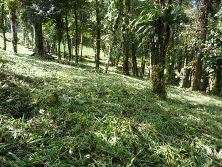 Lote en las monta