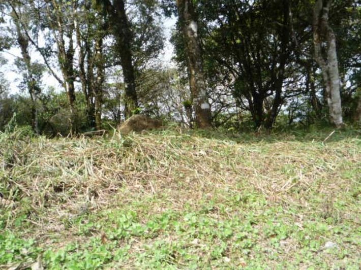 Lote en las monta