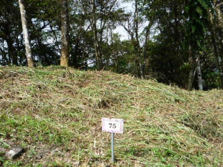 Mountain Highland Lot in Cool La Rioca Location