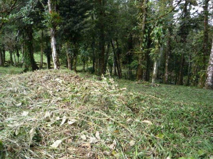 Mountain Highland Lot in Cool La Rioca Location