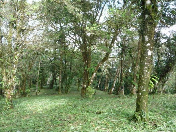 Mountain Highland Lot in Cool La Rioca Location