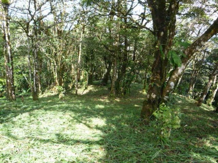 Mountain Highland Lot in Cool La Rioca Location