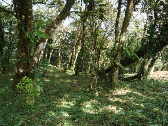 Mountain Highland Lot in Cool La Rioca Location