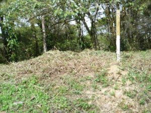 Lote en las monta