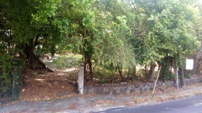 77485 - Altos del golf - lots