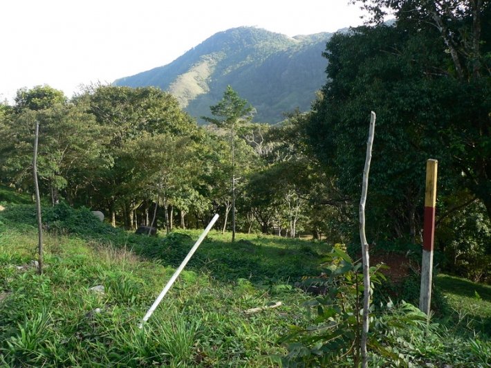 Lote de Casa en Venta en Altos del Maria