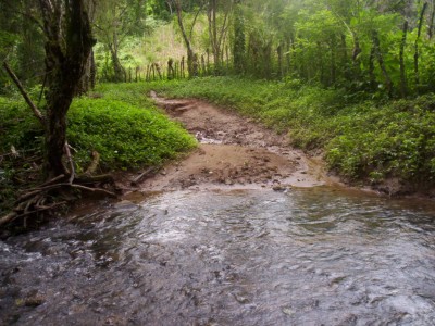 805 - Calobre - propiedades