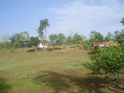 80645 - Chilibre - farms