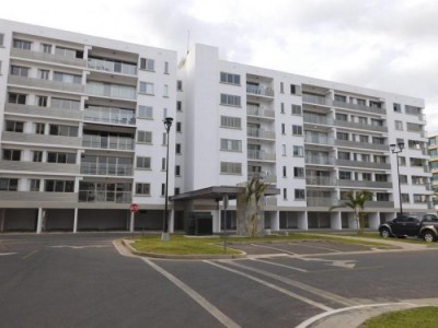 83509 - Cocoli - apartamentos - woodlands