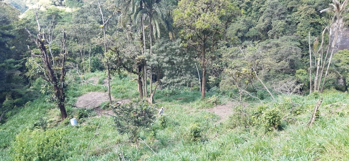 Hermosa finca fluvial, totalmente titulada, en Quebrada Llana, cerca de Volcán