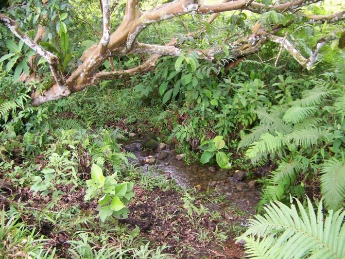 Hermosa finca fluvial, totalmente titulada, en Quebrada Llana, cerca de Volcán