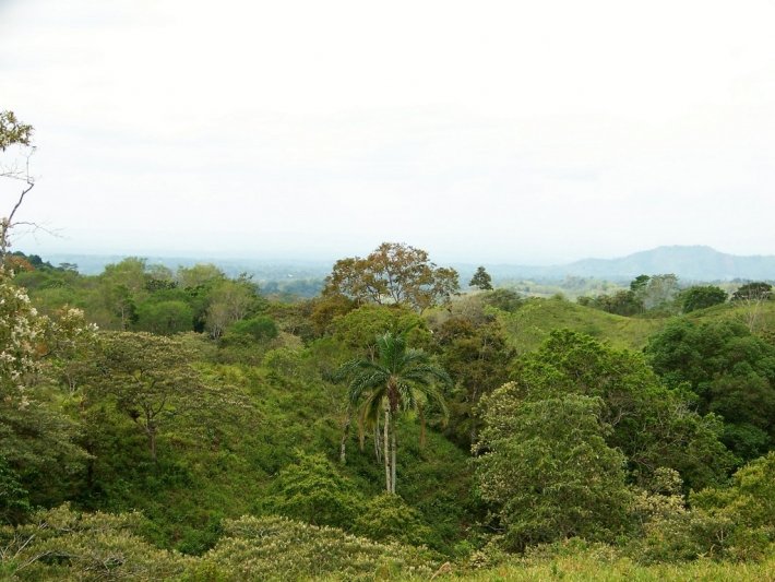 Hermosa finca fluvial, totalmente titulada, en Quebrada Llana, cerca de Volcán
