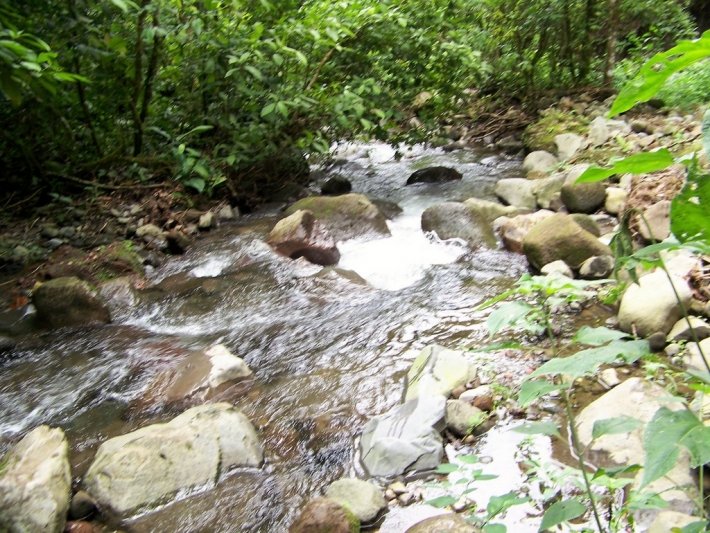 Hermosa finca fluvial, totalmente titulada, en Quebrada Llana, cerca de Volcán
