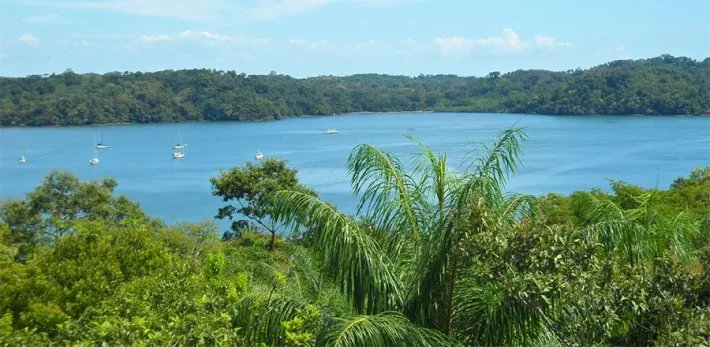 Beautiful Eco Lodge in a emerging hot spot of Panama, reduced by almost 50 %