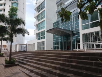 84713 - Santa cruz de chinina - properties