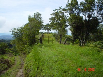 858 - Palmira - boquete - lotes