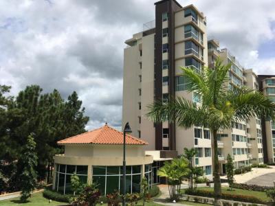 87179 - Albrook - apartamentos - ph pine hills