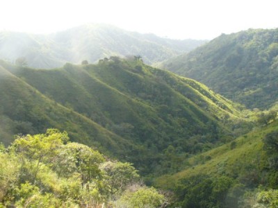 8870 - Tonosí - farms