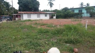 88702 - La Chorrera - lotes