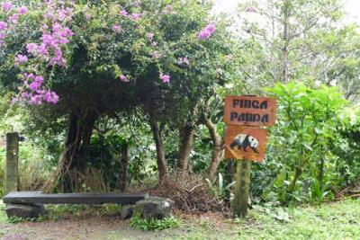 88979 - Boquete - lots