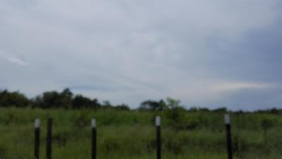 89241 - Rio hato - lotes