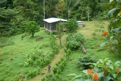 8937 - Chiriquí Grande - casas