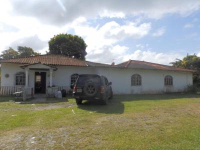 89378 - Vista alegre - casas